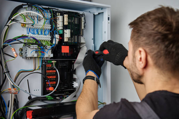 Licensed Electrical Panel Upgrade service in Frankenmuth, MI - No Joke electrician